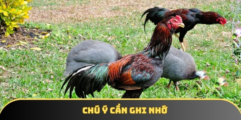 Chú ý cần ghi nhớ Chú ý cần ghi nhớ