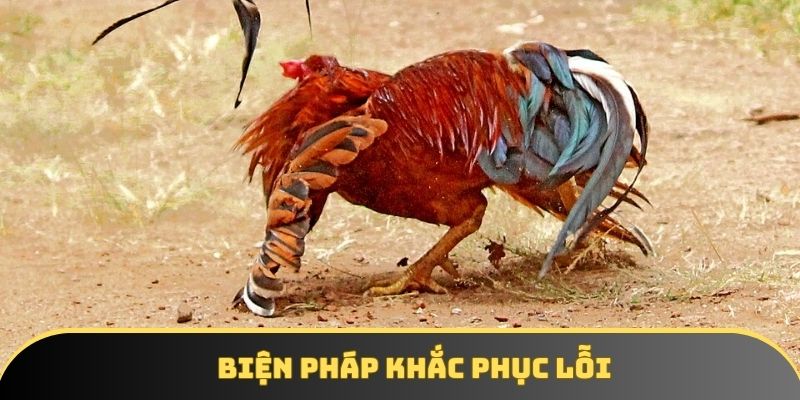 Biện pháp khắc phục lỗi