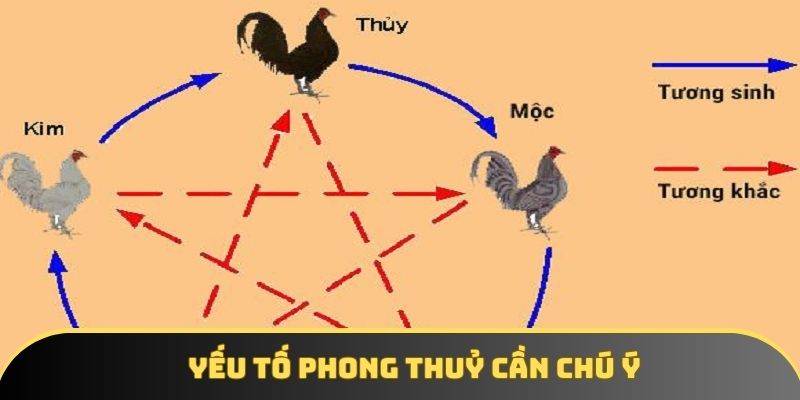 Yếu tố phong thuỷ cần chú ý Yếu tố phong thuỷ cần chú ý