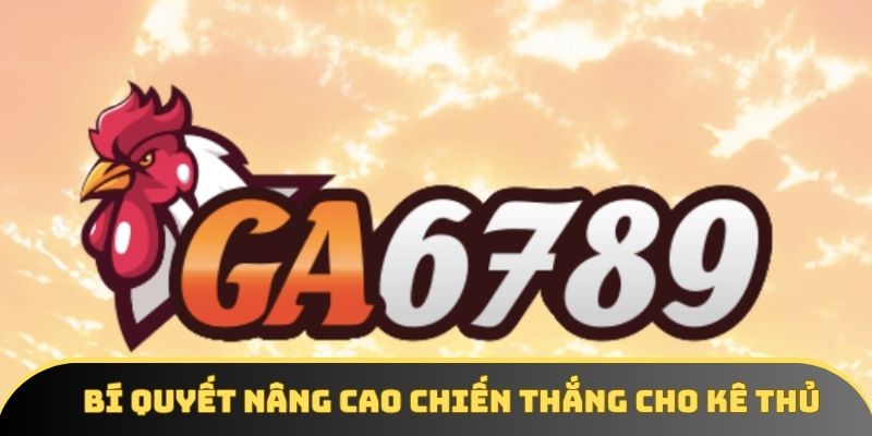 Bí quyết nâng cao chiến thắng cho kê thủ Bí quyết nâng cao chiến thắng cho kê thủ