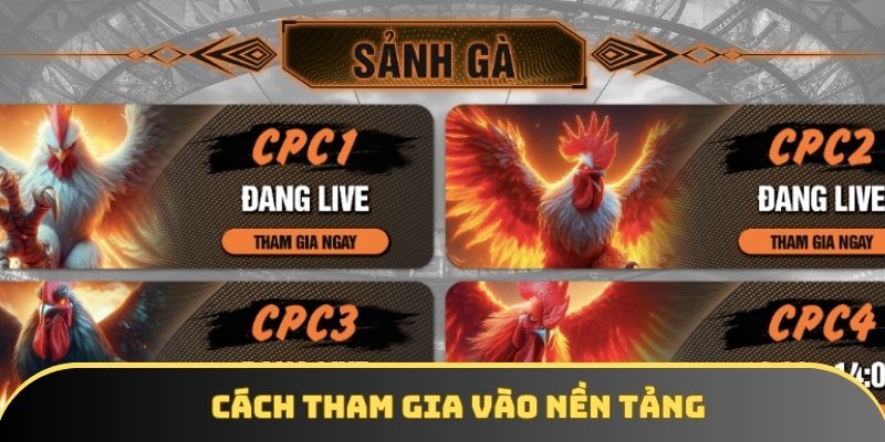 Cách tham gia vào nền tảng Cách tham gia vào nền tảng