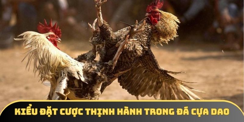 Kiểu đặt cược thịnh hành trong đá cựa dao Kiểu đặt cược thịnh hành trong đá cựa dao