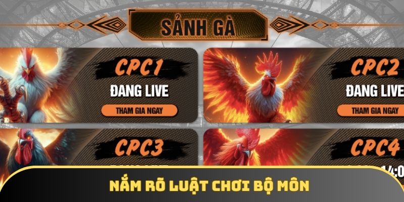 Nắm rõ luật chơi bộ môn Nắm rõ luật chơi bộ môn