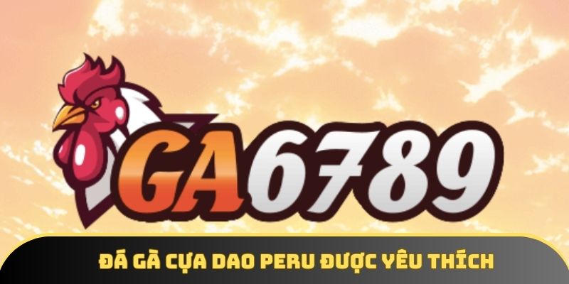 Đá gà cựa dao Peru được yêu thích Đá gà cựa dao Peru được yêu thích