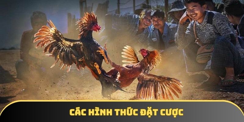 Các hình thức đặt cược Các hình thức đặt cược