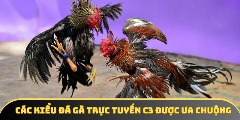 Các kiểu đá gà trực tuyến C3 được ưa chuộng Các kiểu đá gà trực tuyến C3 được ưa chuộng