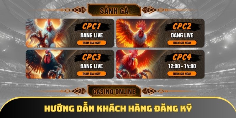 Chia sẻ đến khách hàng quy trình đăng ký tài khoản đá gà cơ bản Chia sẻ đến khách hàng quy trình đăng ký tài khoản đá gà cơ bản