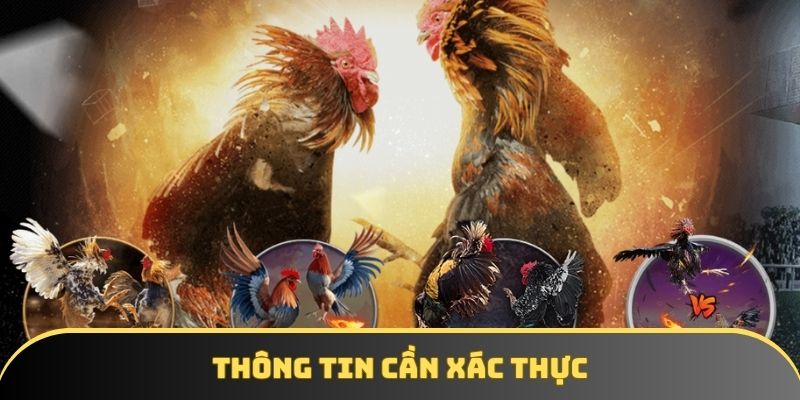 Hội viên đảm bảo tất cả mọi thông tin đều chính xác khi đăng ký Hội viên đảm bảo tất cả mọi thông tin đều chính xác khi đăng ký