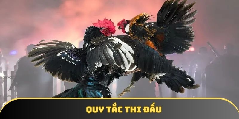 Quy tắc thi đấu