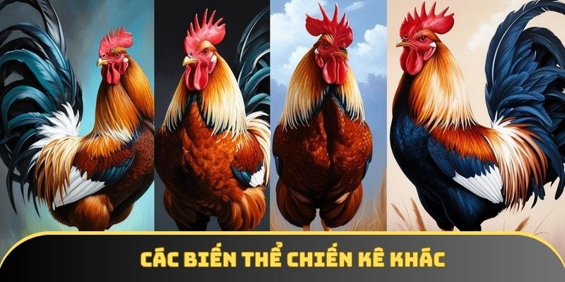 Một số biến thể đặc biệt ngoài gà có 2 vảy phủ địa