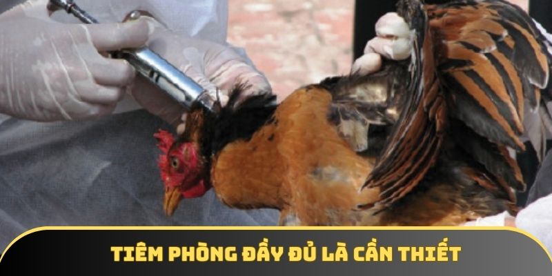 Tiêm phòng đầy đủ tạo nền tảng phát triển vững chắc