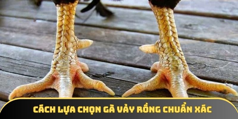 Cách chọn giống cực hay, siêu chuẩn cho tân binh nắm vững Cách chọn giống cực hay, siêu chuẩn cho tân binh nắm vững