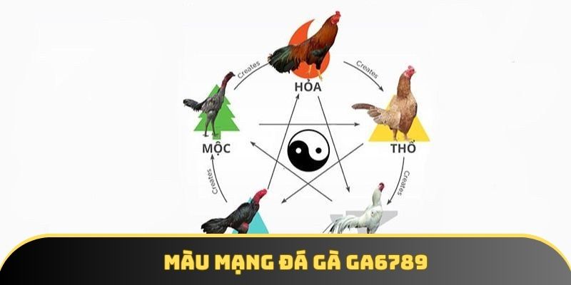 Màu mạng đá gà chuẩn xác theo phong thủy ngũ hành 2025