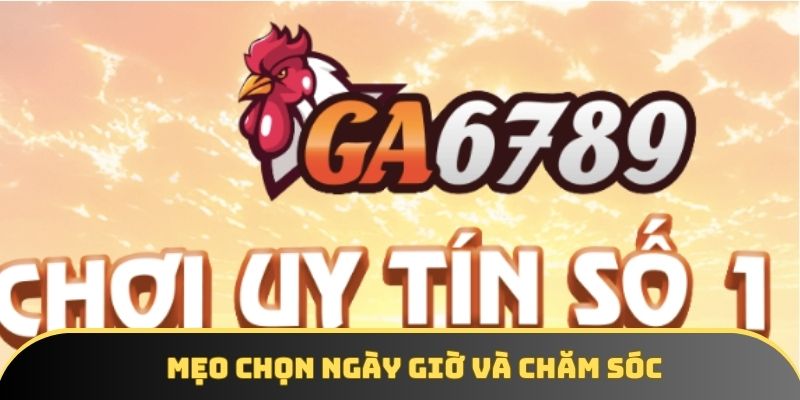 Mẹo chọn ngày giờ và chăm sóc Mẹo chọn ngày giờ và chăm sóc