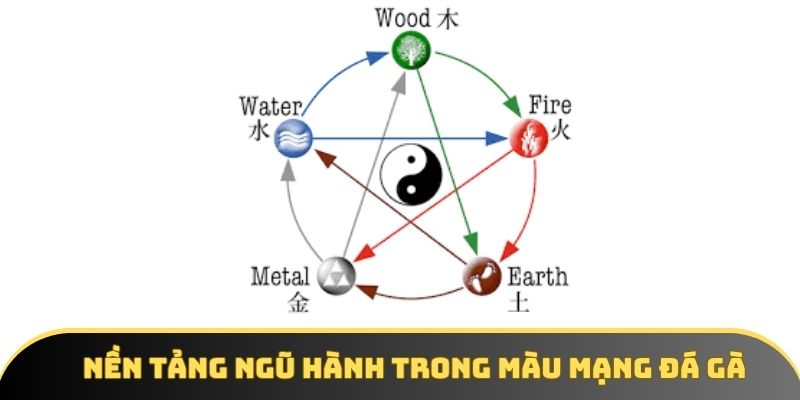 Nền tảng ngũ hành trong màu mạng đá gà Nền tảng ngũ hành trong màu mạng đá gà