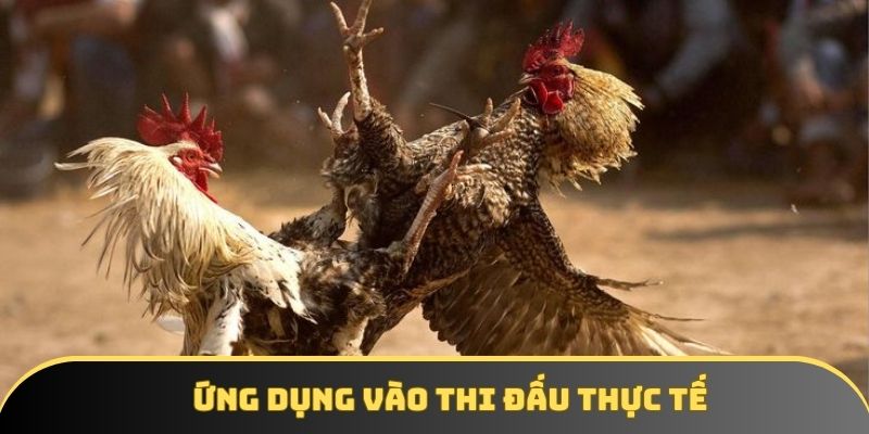 Ứng dụng vào thi đấu thực tế Ứng dụng vào thi đấu thực tế