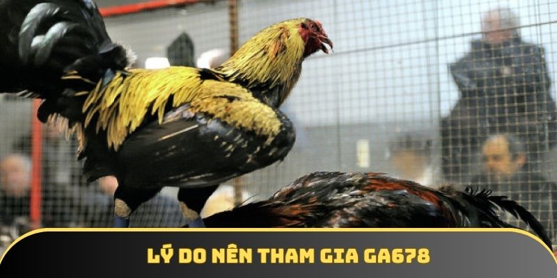 Lý do khách hàng nên tham gia giải trí ở nền tảng GA6789 Lý do khách hàng nên tham gia giải trí ở nền tảng GA6789