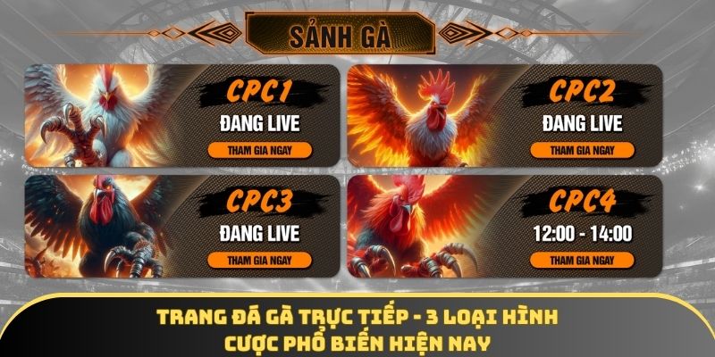 Trang đá gà trực tiếp - 3 loại hình cược phổ biến hiện nay