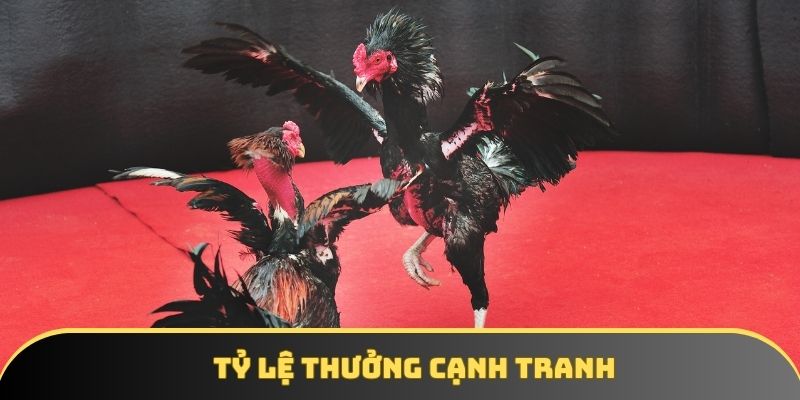 Bạn sẽ nhận được tỷ lệ thưởng cạnh tranh nhất thị trường Bạn sẽ nhận được tỷ lệ thưởng cạnh tranh nhất thị trường