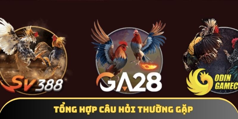Tổng hợp câu hỏi thường gặp Tổng hợp câu hỏi thường gặp