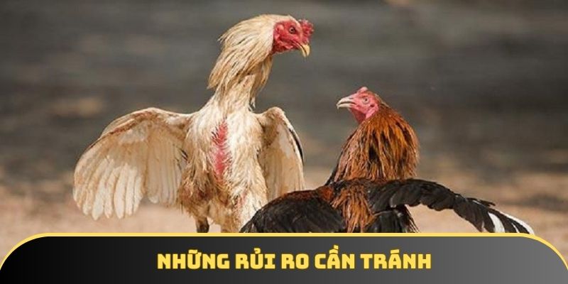 Những rủi ro cần tránh Những rủi ro cần tránh