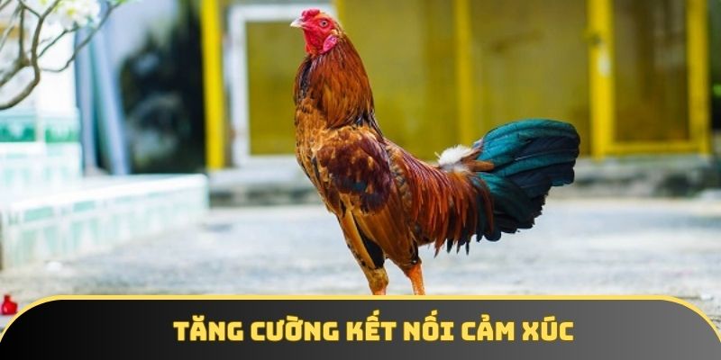 Hình thái đặc biệt này giúp tăng tính kết nối cảm xúc Hình thái đặc biệt này giúp tăng tính kết nối cảm xúc