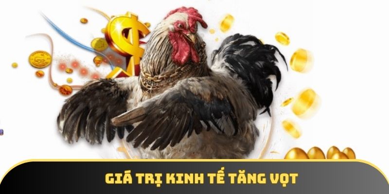 Giá trị kinh tế của loại chiến kê này cũng được gia tăng đáng kể Giá trị kinh tế của loại chiến kê này cũng được gia tăng đáng kể