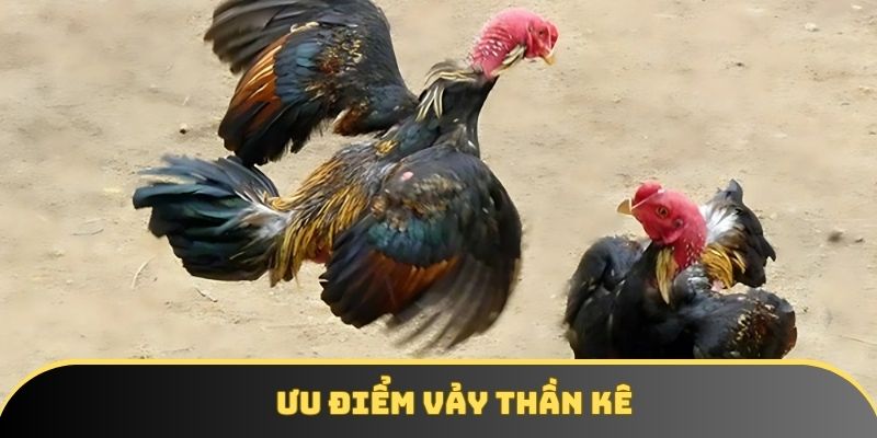 Ưu điểm vảy thần kê Ưu điểm vảy thần kê