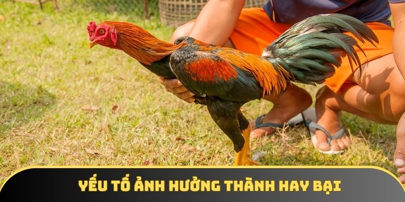 Yếu tố ảnh hưởng thành hay bại Yếu tố ảnh hưởng thành hay bại