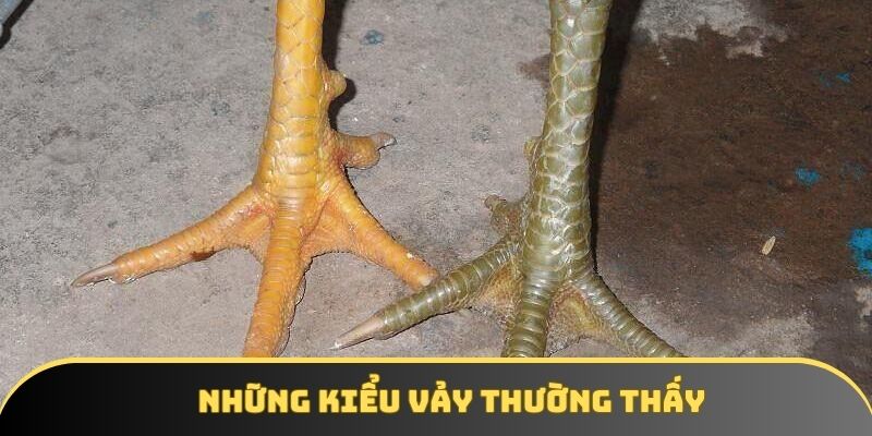 Những kiểu vảy thường thấy Những kiểu vảy thường thấy