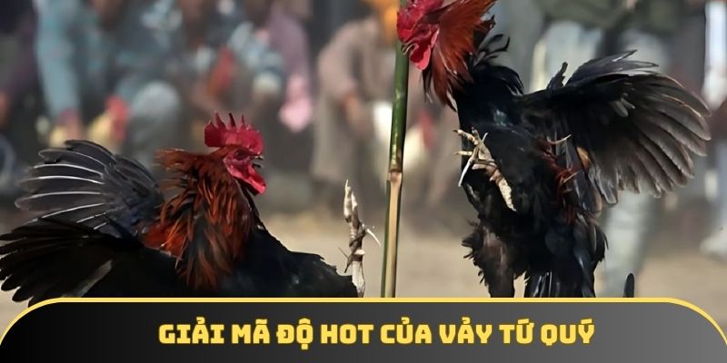 Giải mã độ hot của vảy tứ quý Giải mã độ hot của vảy tứ quý