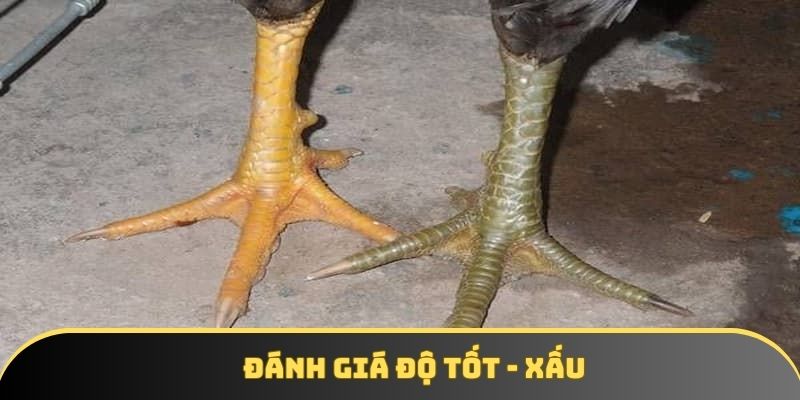 Đánh giá độ tốt - xấu Đánh giá độ tốt - xấu