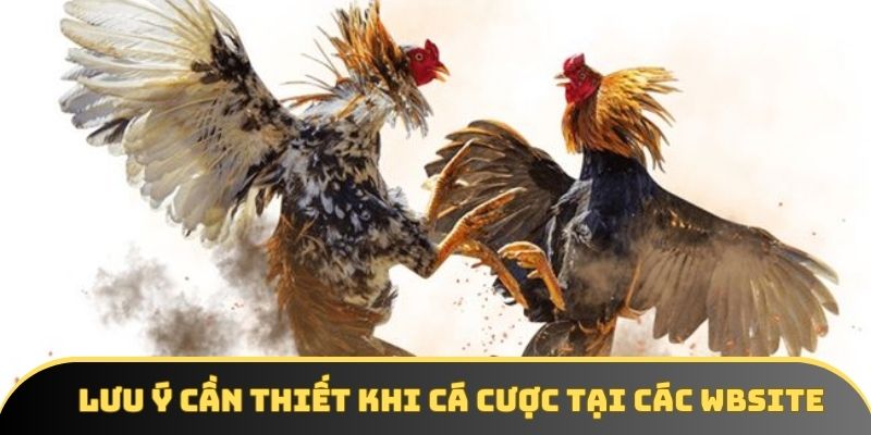 Lưu ý cần thiết khi cá cược tại các wbsite Lưu ý cần thiết khi cá cược tại các wbsite